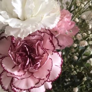 Meet your Posher, Busra